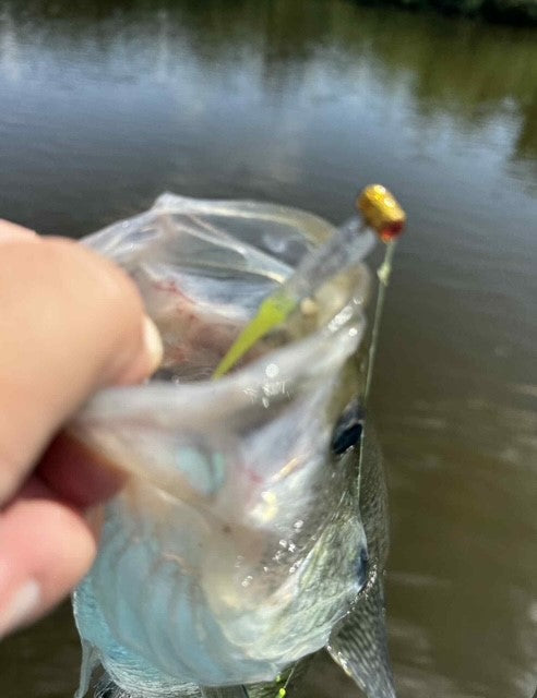 Color Choices for Dark and Stained Water